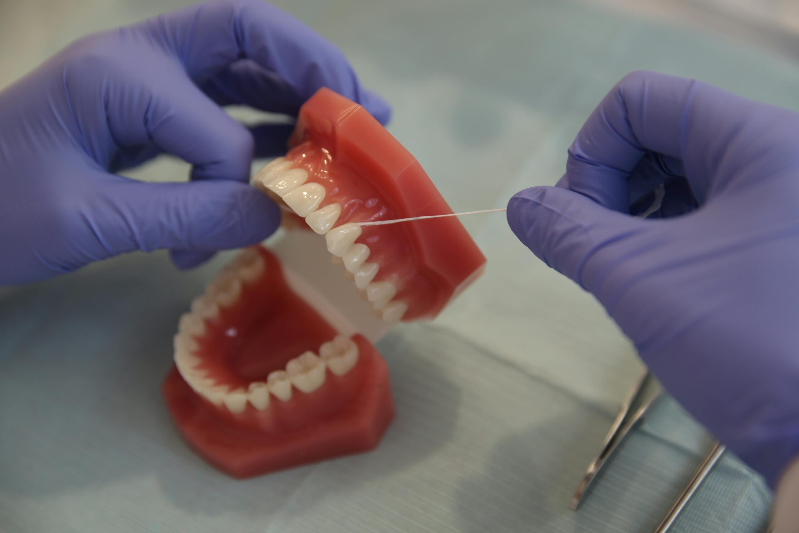 Close-up of a Person in Rubber Gloves Cleaning a Denture
